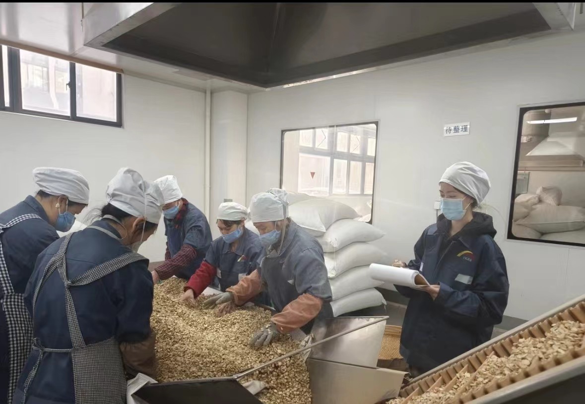 Qingdao Biohoer Biotech Co., Ltd. hat offiziell mit dem Bau begonnen