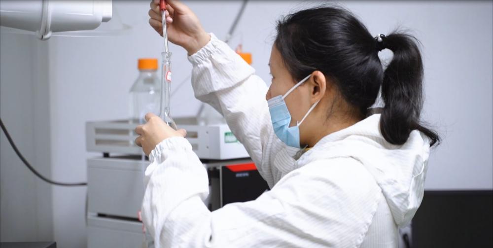 Innovation von Kräuterherbik