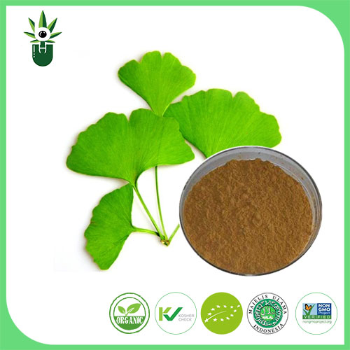 Welche Symptome können Ginkgo Biloba -Blattextrakt verwendet werden, um zu lindern?