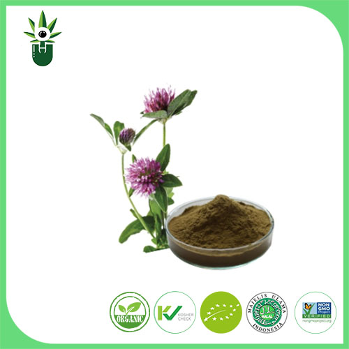 Medicago sativa L-Extrakt